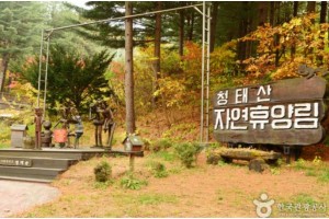 [상품코드 4181] 당일먹방한우가을여행 ◆가을맞이◆ [KTX-당일]*중식제공*횡(행)복한 한우 먹방·횡성 청태산+호수길 [중식(한우 무한리필]