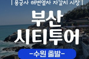 [상품코드 9485][ 당일 - 부산기차여행 ] (수원출발)KTX  - 해운대 해변열차 & 용궁사 & 아난티코브 여행 [중식제공](금토일 출발)