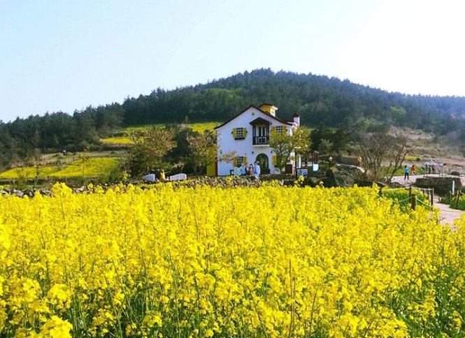 [상품코드 5900] 1박2일 - 청산도여행  - KTX  -청산도+보길도+땅끝마을+두륜산 출발확정