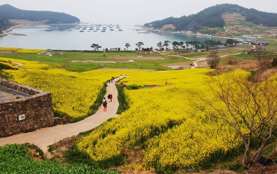 [상품코드 5900] 1박2일 - 청산도여행  - KTX  -청산도+보길도+땅끝마을+두륜산 출발확정