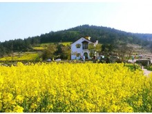 [상품코드 5900] 1박2일 - 청산도여행  - KTX  -청산도+보길도+땅끝마을+두륜산 출발확정