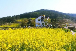 [상품코드 5900] 1박2일 - 청산도여행  - KTX  -청산도+보길도+땅끝마을+두륜산 출발확정