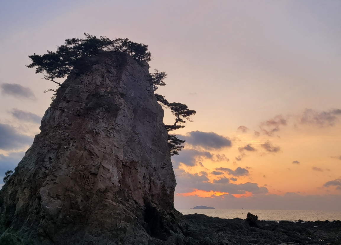 [상품코드 5704] 당일 ◈충청도 별미여행◈안면도 꽃지해변+예산 수덕사+간월도+태안노을길 5코스 (가이드동행)(중식,석식제공)