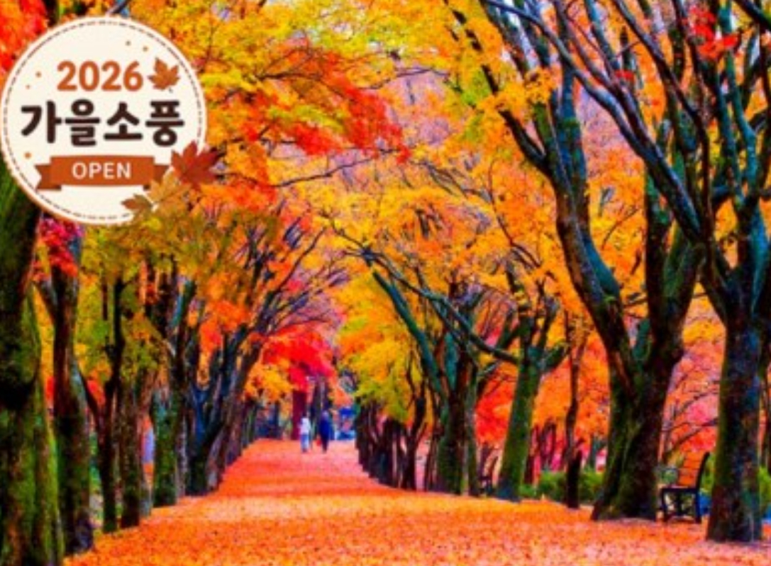 [상품코드 4154] 당일내장산넘버원 ◆가을맞이◆ 정읍도착-당일]조선8경 오색단풍명소 일번지, 내장산