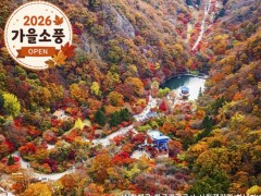 [상품코드 4154] 당일내장산넘버원 ◆가을맞이◆ 정읍도착-당일]조선8경 오색단풍명소 일번지, 내장산