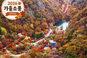 [상품코드 4154] 당일내장산넘버원 ◆가을맞이◆ 정읍도착-당일]조선8경 오색단풍명소 일번지, 내장산