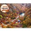 [상품코드 4154] 당일내장산넘버원 ◆가을맞이◆ 정읍도착-당일]조선8경 오색단풍명소 일번지, 내장산