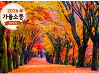 [상품코드 4154] 당일내장산넘버원 ◆가을맞이◆ 정읍도착-당일]조선8경 오색단풍명소 일번지, 내장산
