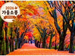 [상품코드 4154] 당일내장산넘버원 ◆가을맞이◆ 정읍도착-당일]조선8경 오색단풍명소 일번지, 내장산