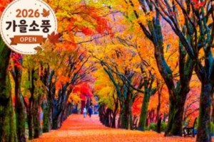 [상품코드 4154] 당일내장산넘버원 ◆가을맞이◆ 정읍도착-당일]조선8경 오색단풍명소 일번지, 내장산
