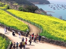 [상품코드 8744] 1박2일 - 청산도기차여행   KTX  남도여행  강진 가우도 보성녹차밭 여행 [서울/제천출발]