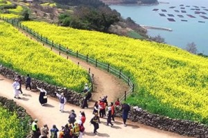 [상품코드 8744] 1박2일 - 청산도기차여행   KTX  남도여행  강진 가우도 보성녹차밭 여행 [서울/제천출발]