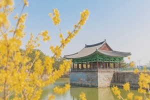 [상품코드 4040][ 2박3일 - 경주,울산,부산여행 ] KTX / SRT ♠호텔♠ 금빛고운 경주+국가정원 울산+쪽빛바다 부산여행