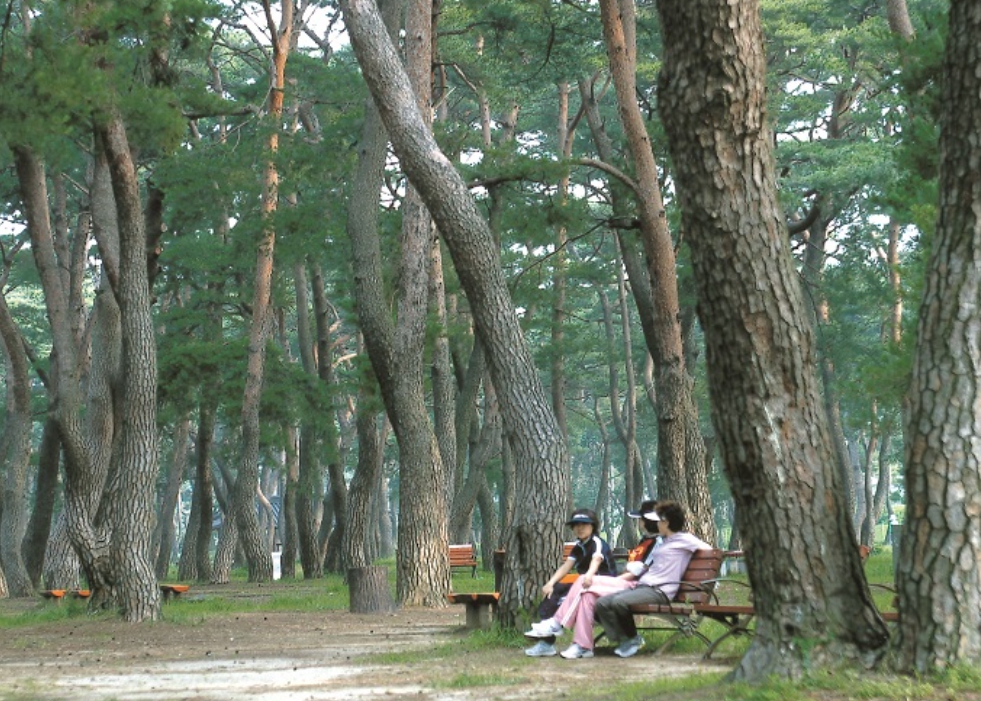[상품코드 5449] [추석연휴 리무진버스(28인승) 버스여행 ] - 2026 추석 버스 #5 남해 완전일주&남도별미 2박3일(순천/여수/남해/장흥/강진)_28인승 리무진버스(전일정 식사 (7식) 가이드동행