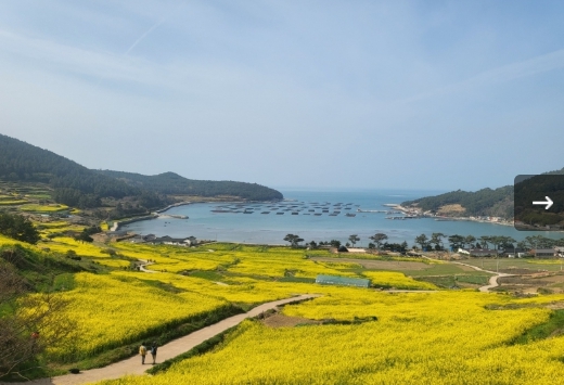 [상품코드 9289] [ 1박2일 -  청산도기차여행 ] KTX / SRT  - 남도의 진수성찬ㆍ강진 & 청산도 기차여행