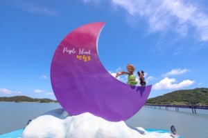 [상품코드 4085] 1박2일 - 퍼플섬기차여행 - KTX / SRT 출발  ♠호텔♠ 남도힐링 (섬티아고/신안퍼플섬/목포유달산)(전일정식사제공4식)