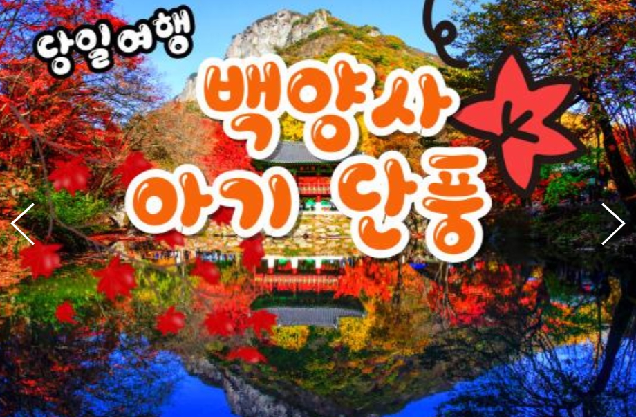 [상품코드 9479]  당일 내장산기차여행 KTX / 용산역,수서역 출발  천년 고찰!! 백양사 애기 가을단풍 여행(07:43출발)