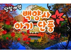 [상품코드 9479]  당일 내장산기차여행 KTX / 용산역,수서역 출발  천년 고찰!! 백양사 애기 가을단풍 여행(07:43출발)
