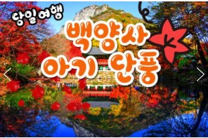 [상품코드 9479]  당일 내장산기차여행 KTX / 용산역,수서역 출발  천년 고찰!! 백양사 애기 가을단풍 여행(07:43출발)
