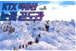 [상품코드 8988]  당일 덕유산기차여행 서울/수원/수서출발]   덕유산 눈꽃 & 관광곤도라 설경 & 무주구천동 & 하늘물빛정원 기차여행
