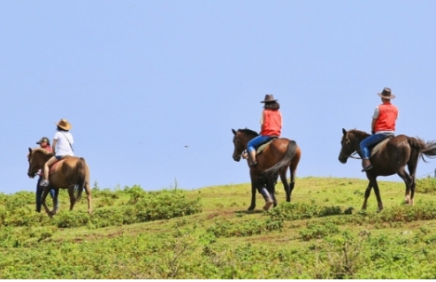[상품코드 4456] 2박3일 제주도여행 [5성호텔+6식제공+노팁노옵션]제주도 2박3일 마라도일주 + 우도8경(2명출발확정)