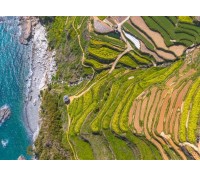 [상품코드 4909] 1박2일 - 독일마을기차여행  - KTX 보물섬 남해별미! 보리암+사천케이블카+독일마을(전일정식사제공4식)