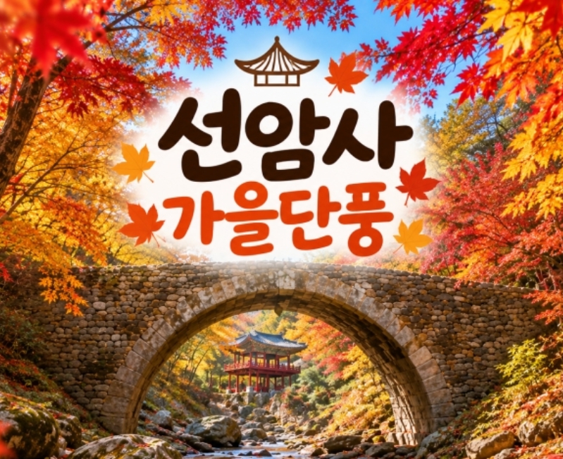 [상품코드 7744]  당일 선암사단풍여행 - ★가을단풍★선암사&낙안읍성 (중,석식제공) 서울권,충청권,전라권,경상권 출발