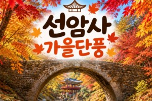 [상품코드 7744]  당일 선암사단풍여행 - ★가을단풍★선암사&낙안읍성 (중,석식제공) 서울권,충청권,전라권,경상권 출발