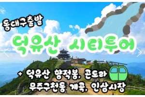 [상품코드 9189][ 당일 -덕유산기차여행 ][동대구역,김천구미 출발 ] - 덕유산 향적봉(정상) & 관광 곤도라 & 무주구천동계곡 여행(중식제공)