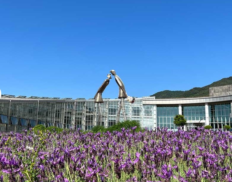[상품코드 1700]   당일 [국악와인열차] 7월 4(토)26(일) 남원 지리산 뱀사골 / 허브밸리 라벤더