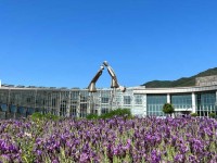 [상품코드 1700]   당일 [국악와인열차] 7월 4(토)26(일) 남원 지리산 뱀사골 / 허브밸리 라벤더
