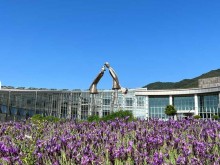 [상품코드 1700]   당일 [국악와인열차] 7월 4(토)26(일) 남원 지리산 뱀사골 / 허브밸리 라벤더