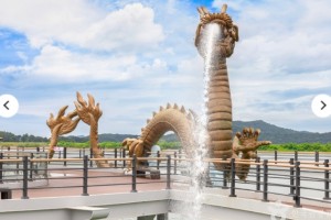 [상품코드 1499]  당일 - [국악와인열차] 9월 1(화) 정읍 용산호 미르샘다리 / 담양 죽화경 수국+죽녹원
