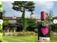 [상품코드 1800] 당일 와인열차여행 5월 9,10,14,23일 영동 와이너리 / 김천 직지사+사명대사공원