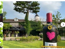 [상품코드 1800] 당일 와인열차여행 5월 9,10,14,23일 영동 와이너리 / 김천 직지사+사명대사공원