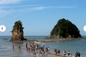 [ 상품코드 1400] 당일 - 국악와인열차  5월 17일 2026 태안 국제원예치유박람회 / 상화원 / 대천해수욕장