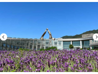 [상품코드 1700]  당일 - 와인기차여행 ][국악와인열차] 6월 13일 남원 지리산 허브밸리 라벤더 / 지리산 뱀사골 트레킹