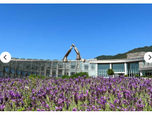 [상품코드 1700]  당일 - 와인기차여행 ][국악와인열차] 6월 13일 남원 지리산 허브밸리 라벤더 / 지리산 뱀사골 트레킹