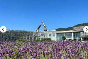 [상품코드 1700]  당일 - 와인기차여행 ][국악와인열차] 6월 13일 남원 지리산 허브밸리 라벤더 / 지리산 뱀사골 트레킹