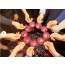 [상품코드 1700]  당일 - 와인기차여행 ][국악와인열차]  8월 15(토) 영동 와이너리 투어 / 대전 0시 축제