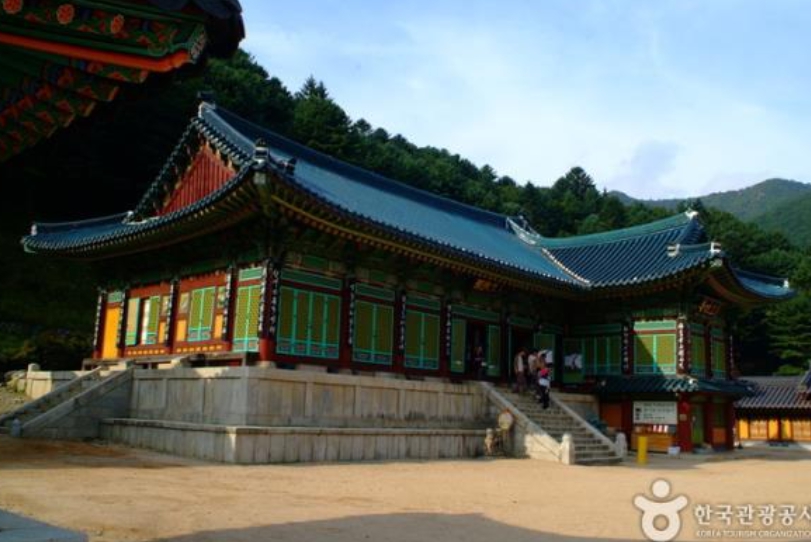 [상품쾨드 4171]  택시투어 우리끼리여행 [KTX+평창관광택시①] 대관령 하늘목장 +월정사 전나무숲