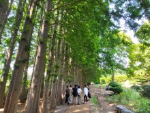 [상품코드 1600]   당일 와인열차여행 [국악와인열차] 7월 25(토) 익산 아가페정원+미륵사지 / 완주 동상계곡 여름피서