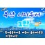 [상품코드 9799][ 당일 - 부산기차여행 ] 수원/대전/동대구 출발 KTX - 부산시티투어- 태종대/송도케이블카/흰여울문화마을/산만디투어/자갈치시장