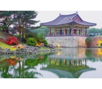 [상품코드 4688] 1박2일 - 포항스페이스워크 여행 ♠호텔♠꽃길을 걷다,경주 황리단길/불국사+포항 스페이스워크