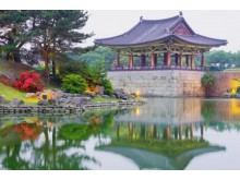 [상품코드 4688] 1박2일 - 포항스페이스워크 여행 ♠호텔♠꽃길을 걷다,경주 황리단길/불국사+포항 스페이스워크