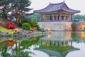 [상품코드 4688] 1박2일 - 포항스페이스워크 여행 ♠호텔♠꽃길을 걷다,경주 황리단길/불국사+포항 스페이스워크
