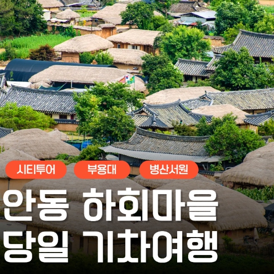 [상품코드 6868] 당일 - 안동하회마을여행 안동 1코스(부용대&병산서원&하회마을하회탈춤관람)