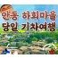 [상품코드 6868] 당일 - 안동하회마을여행 안동 1코스(부용대&병산서원&하회마을하회탈춤관람)