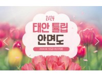 [ 당일 - 태안튤립봄꽃 철도여행 ] 무궁화호 - 태안 세계튤립꽃박람회 & 간월도 & 안면도 자연휴양림 봄꽃여행(용산역,수원역,천안역 출발)