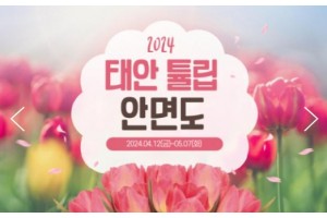 [ 당일 - 태안튤립봄꽃 철도여행 ] 무궁화호 - 태안 세계튤립꽃박람회 & 간월도 & 안면도 자연휴양림 봄꽃여행(용산역,수원역,천안역 출발)